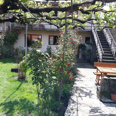 סטינג'ה Apartment Dejan מראה חיצוני תמונה