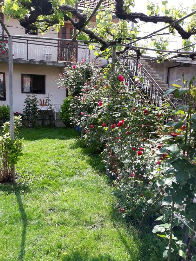 סטינג'ה Apartment Dejan מראה חיצוני תמונה
