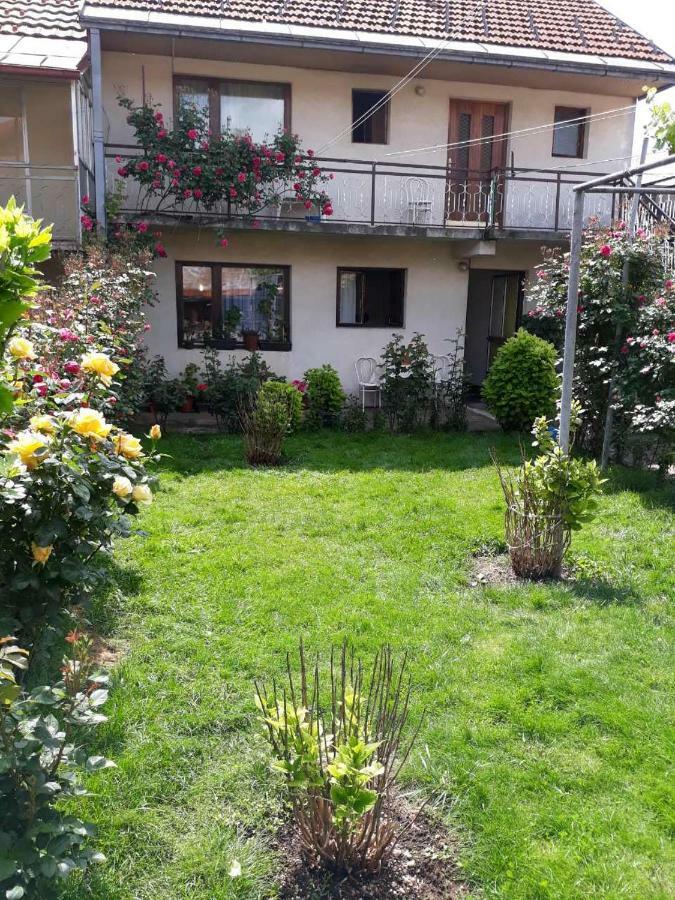 סטינג'ה Apartment Dejan מראה חיצוני תמונה